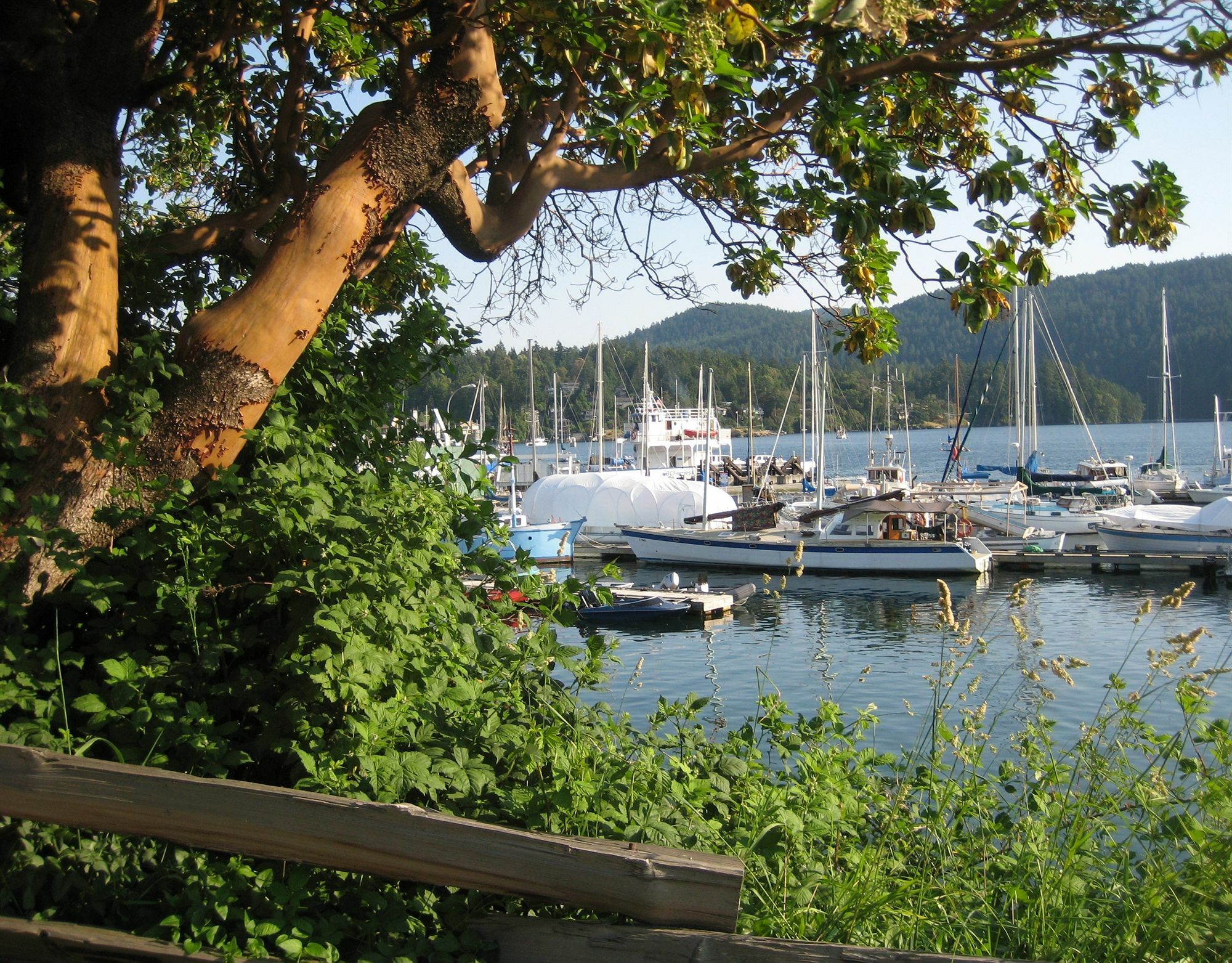 Brentwood Bay Resort&Spa Exterior foto